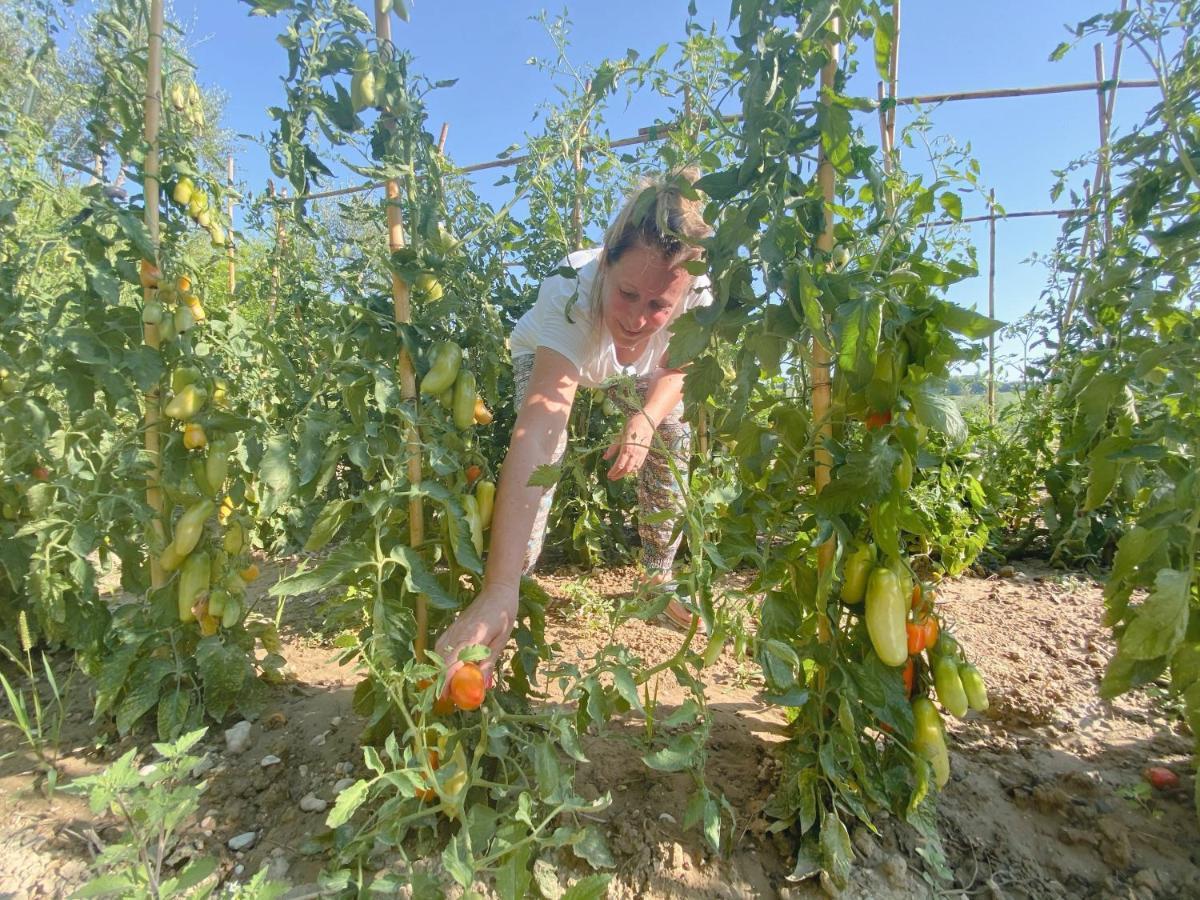 Tenuta Fonte Mosco' Ponzano di Fermo Exteriér fotografie