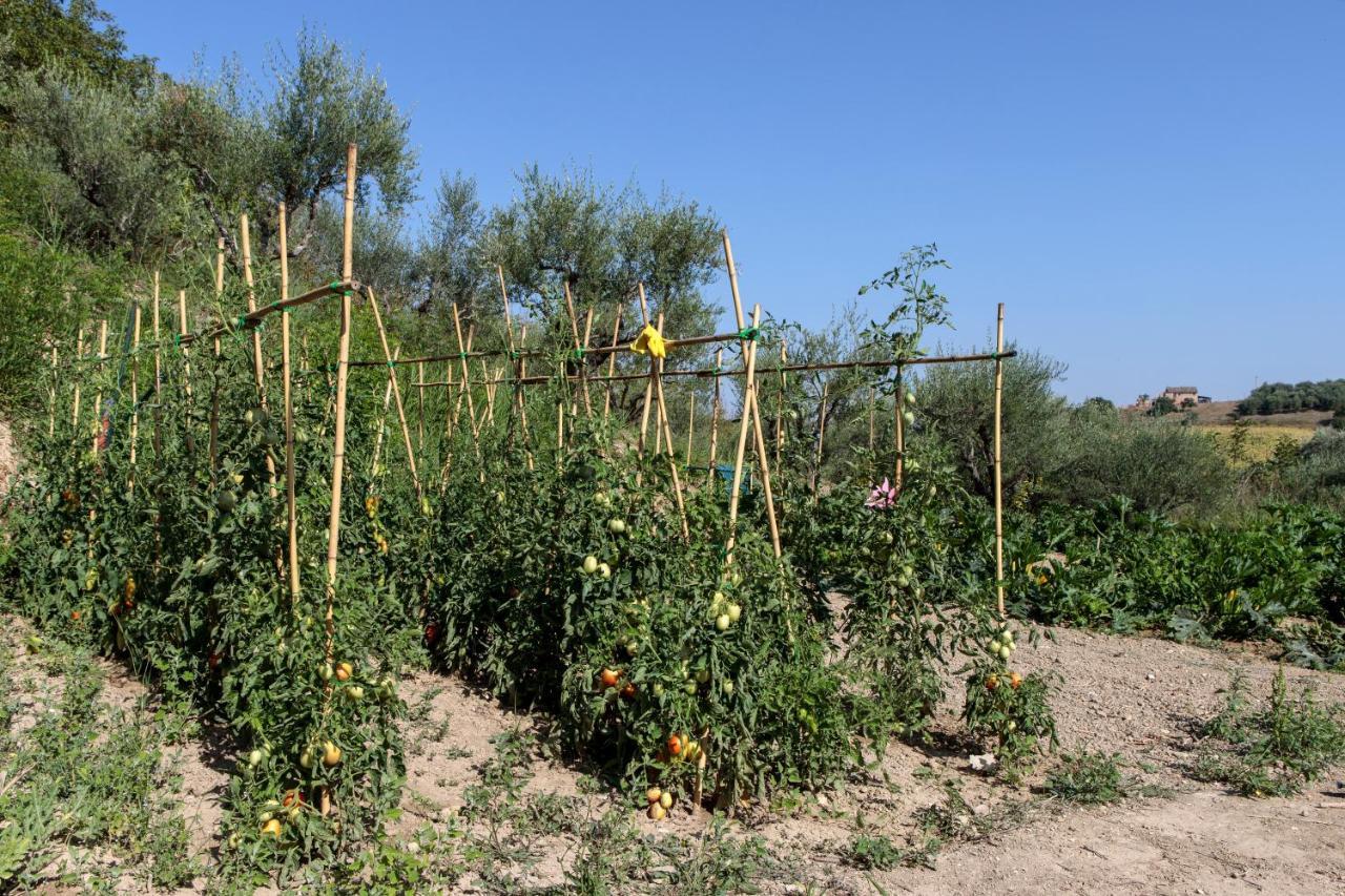 Tenuta Fonte Mosco' Ponzano di Fermo Exteriér fotografie