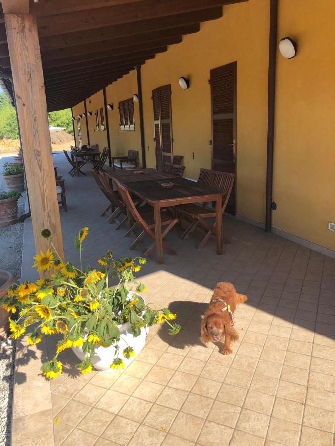 Tenuta Fonte Mosco' Ponzano di Fermo Exteriér fotografie